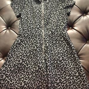 Ann Taylor Loft dress